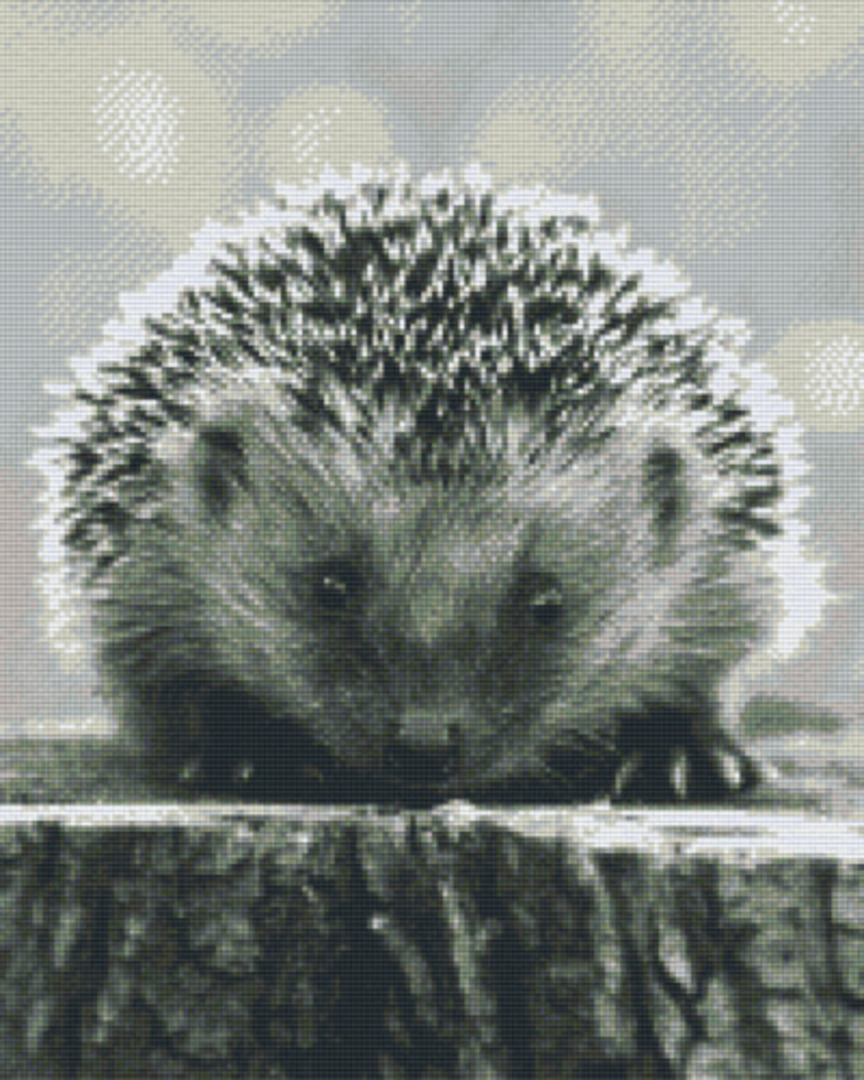 Black And White Hedgehog Sixteen [16] Baseplate PixelHobby Mini-mosaic Art Kit image 0
